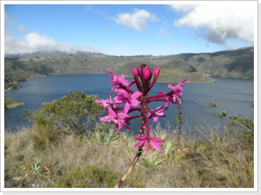 Laguna de Cuicocha