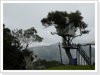 El Pailón del Diablo y casa del arbol