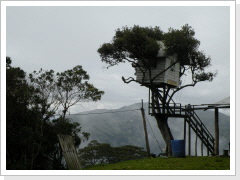 Casa del Arbol Baños